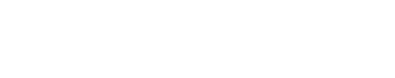 large-logo